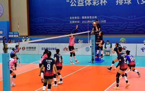 辽宁爆料假球视频大全最新,揭秘假球视频大全，真相令人震惊！